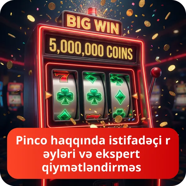 Pinco haqqında i̇stifadəçi rəyləri və ekspert qiymətləndirməs
