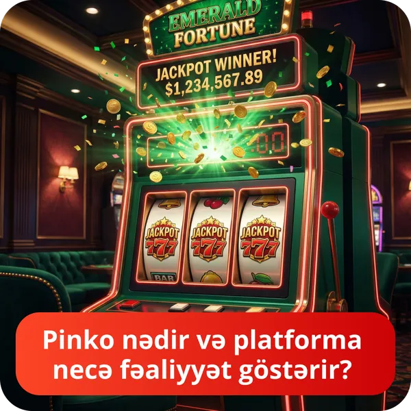 Pinko nədir və platforma necə fəaliyyət göstərir?